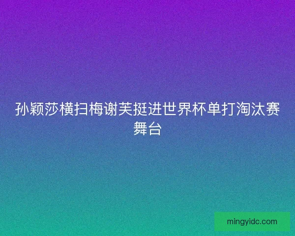孙颖莎横扫梅谢芙挺进世界杯单打淘汰赛舞台